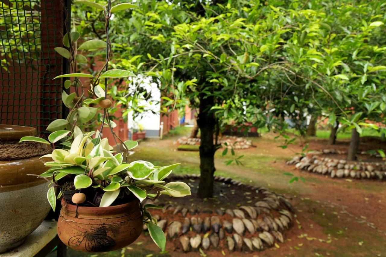 Alappuzha Stayvista At La Riva Heritage Villa With Bicycle מראה חיצוני תמונה